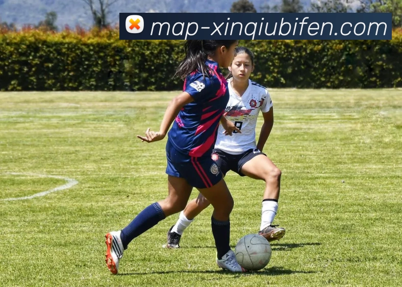 新球体育平台平台生态图