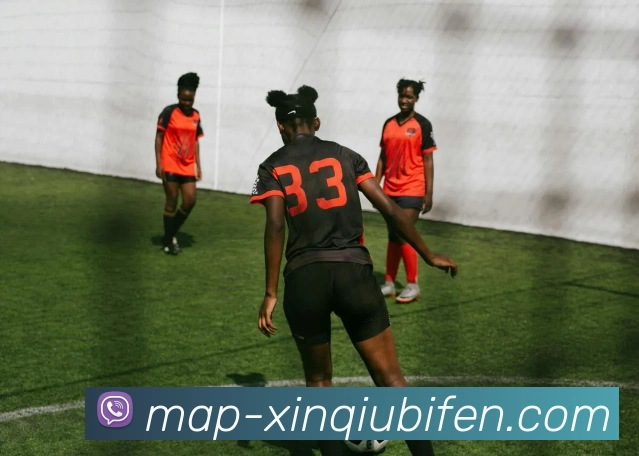 新球体育平台全站App